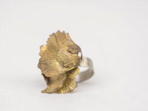 Bague Lenteur laiton et argent