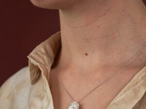 Collier Délicatesse 1 fleur argent