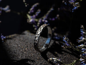 Alliance RAIA 2,5 mm – argent