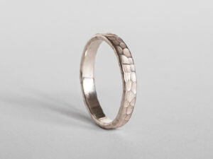 Alliance RAIA 2,5 mm – argent
